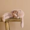 Maileg Plush Sleeping Bunny - Powder 1 Maileg Plush Sleeping Bunny - Powder -Maileg 2J2A1429 2