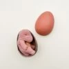 Maileg Small Gantosaurus In Egg - Rose 1 Maileg Small Gantosaurus In Egg - Rose -Maileg IMG 3017